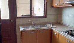 Carissa Park Condominium (D17), Condominium #553898931